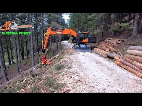 Baumstämme aus 120 m Entfernung mit Baggerprozessor seilen ( HAFO Hilfs seilwinde)
