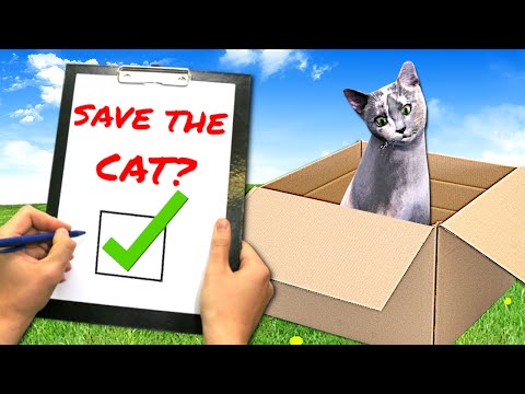 Rescuing Homeless Cats in Animal Shelter Simulator!