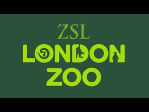 LONDON ZOO     Walking tour 2023 #london#animals #uk #londonzoo