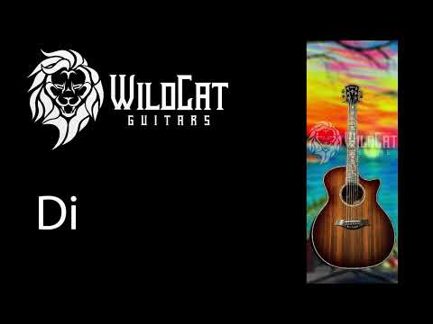 Taylor 50th Anniversary PS14ce - Sound Byte- Visit https://wildcatguitars.com