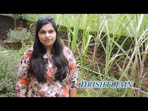 Google Developer Student Club | Drishti Jain