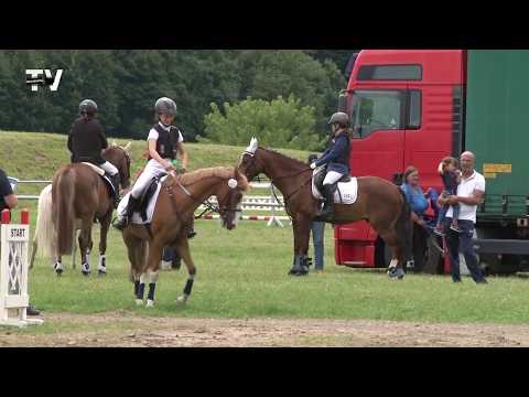 Reit- und Springturnier - Böhlsche Wiesen zu Grimma 2017