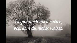 Böhse Onkelz - Wenn du einsam bist (Lyrics) 1990