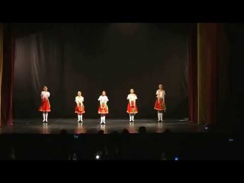 Grup - FIBS Sighisoara 2014