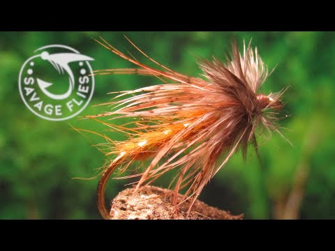 October Caddis Wet Fly