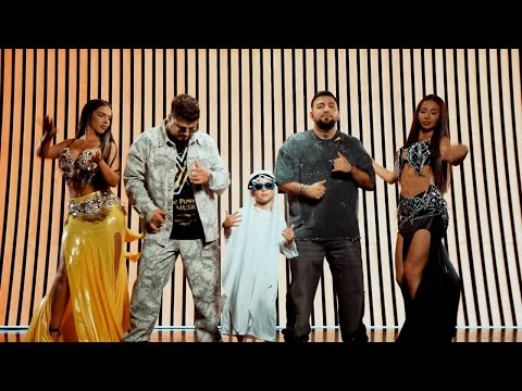 Costel Biju x Cristian Dragomir - Seicii (Official Video)