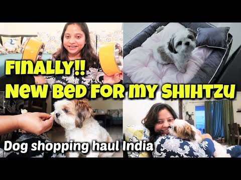 What Did I Shop For My Puppies | New Bed For My Puppy | Shopping For My Puppies | Puppy Haul 2020 Video