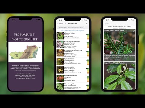 FloraQuest: Northern Tier Video