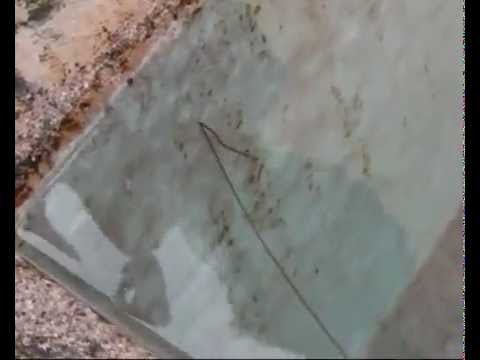 Scoperta di uovo di helminths In un sogno colpisce vermi di denti