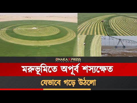 চীন বলেই সম্ভব এমন অপূর্ব শস্যক্ষেত
