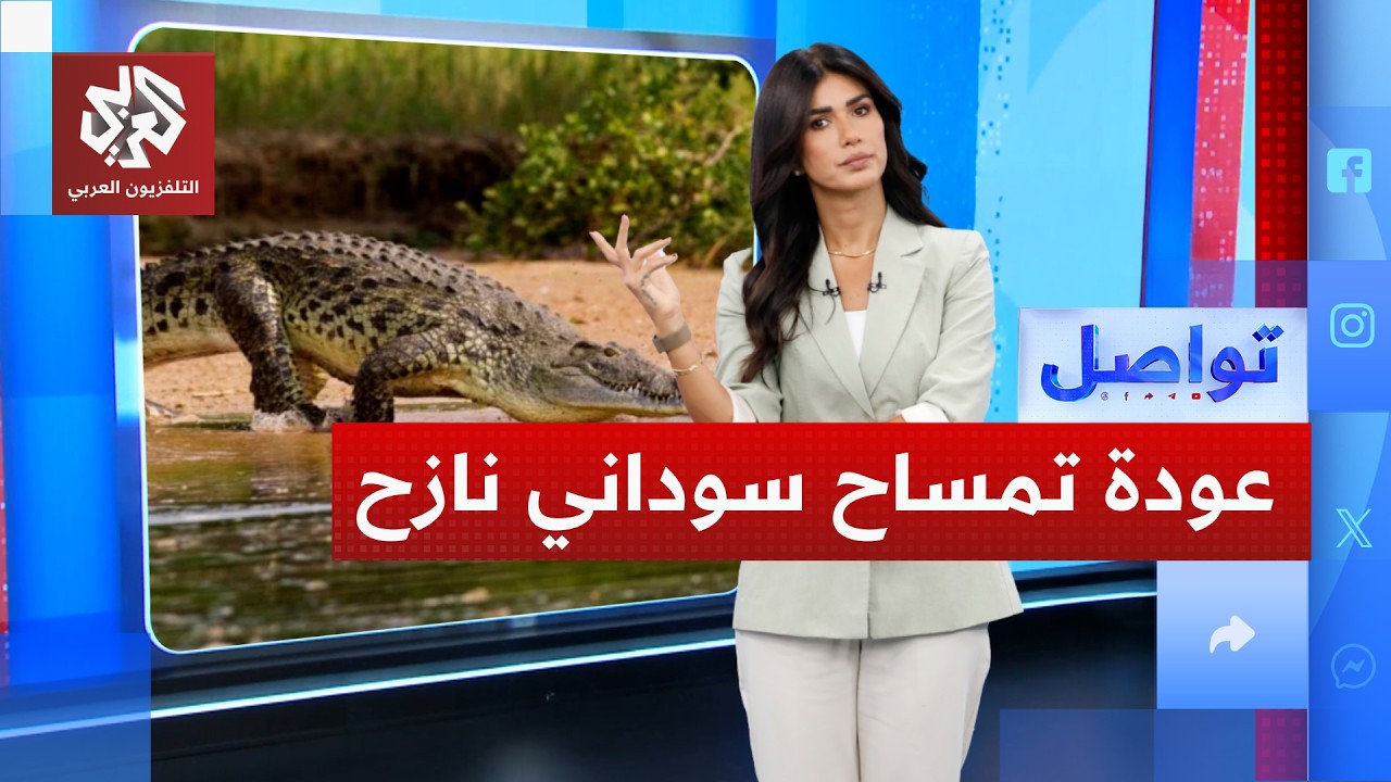 تمساح سوداني نازح يعود إلى موطنه من الأردن.. ما القصة؟ | تواصل