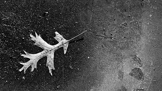 Robyn Hitchcock Cynthia Mask