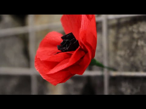 I Was Only 19 - The Lancer Band (Australian Army)