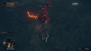 エルデンリング#3
