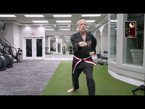 Combination Techniques: Sequence 7 – Sensei Rod Lindgren