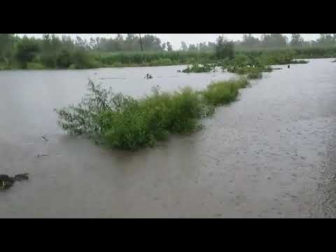 ਪਾਨੀ ਹੀ ਪਾਨੀ ਹੋਇਆ ਪਿਆ ( Jony thakur )