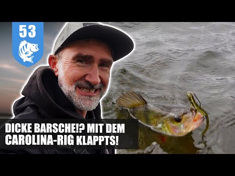 COOL stuff: Fishing for bass with the CAROLINA rig.