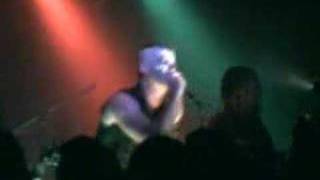 Michale Graves- Punk Rock is Dead (live)