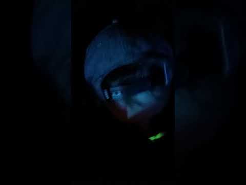 Kelburn Psychedelic Forest Carnival 2017