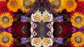 Baby Let Me Lay It On You (by Dave Van Ronk live at Indiana U. '64)