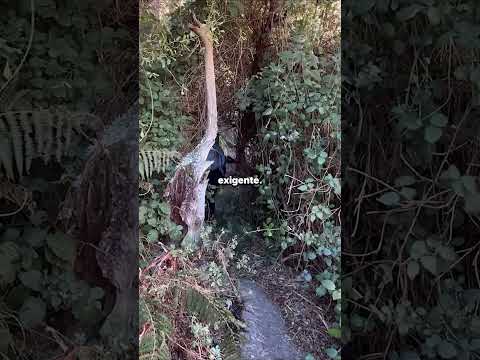 Un camino duro a la perla de La Población. #sierrascomechingones #naturaleza #rutasypaisajes