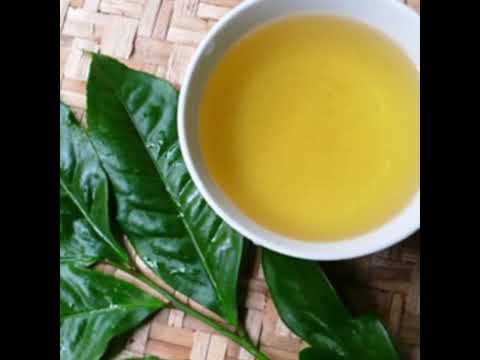 Hà Nội vào đông - Hoàng Thông