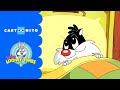 Baby Looney Tunes Skipping Nap Time Cartoonito UK