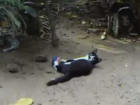 MESSI'S FIRST COACH TAKEN BY MIDHUN.R