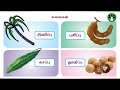 சுவைகள் 1st Std தமிழ் பாடம் முழு விளக்கத்�