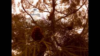 "Even the Raindrops" - Gerald Ko (Original)