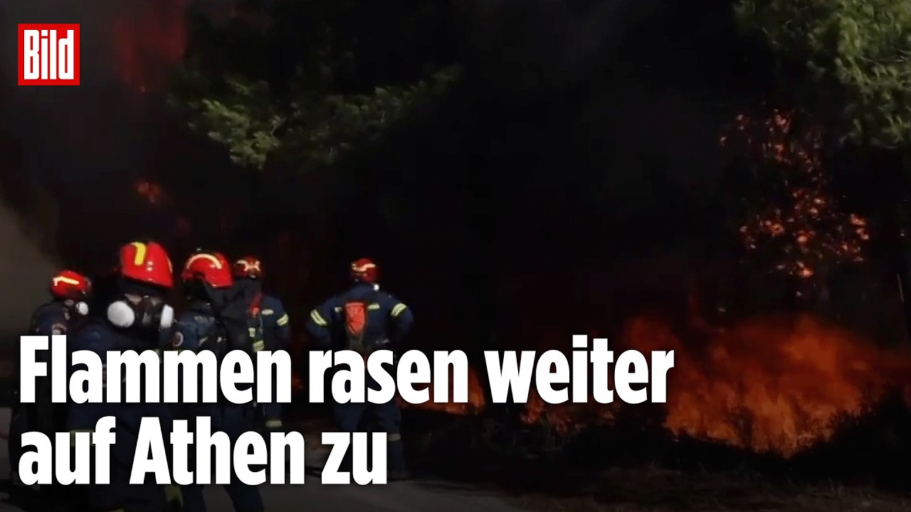 Europa im Griff der Waldbrände: Griechenland, Frankreich und die Türkei sind massiv betroffen