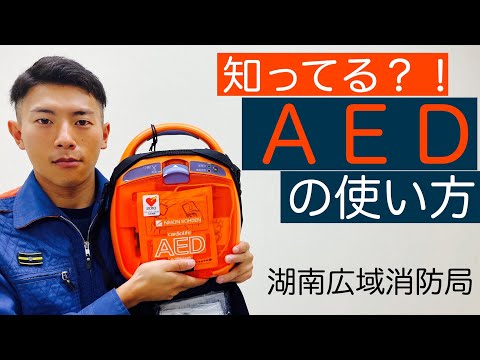 アデリダエについて詳しく解説