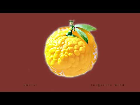 [FREE] Ninho x Niska Type Beat 2023 "Cartel" | Afro Beat Melodie | Instru Dancehall 🍊