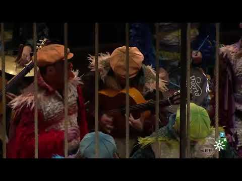 Segundo pasodoble de la final Comparsa Los Prisioneros . Grandísimo y emotivo homenaje a Paco Alba