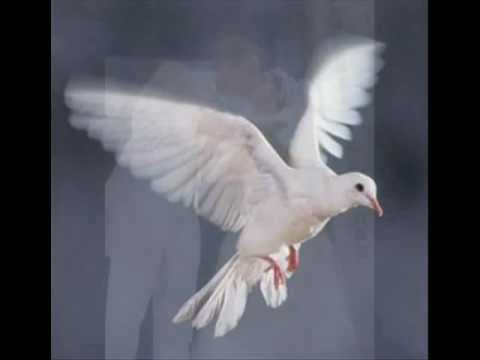 Delhusa Gjon - Fehér galamb.