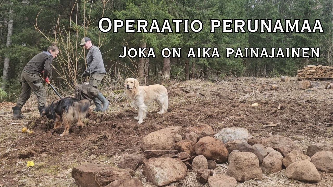 Operaatio perunamaa, joka on aika painajainen!