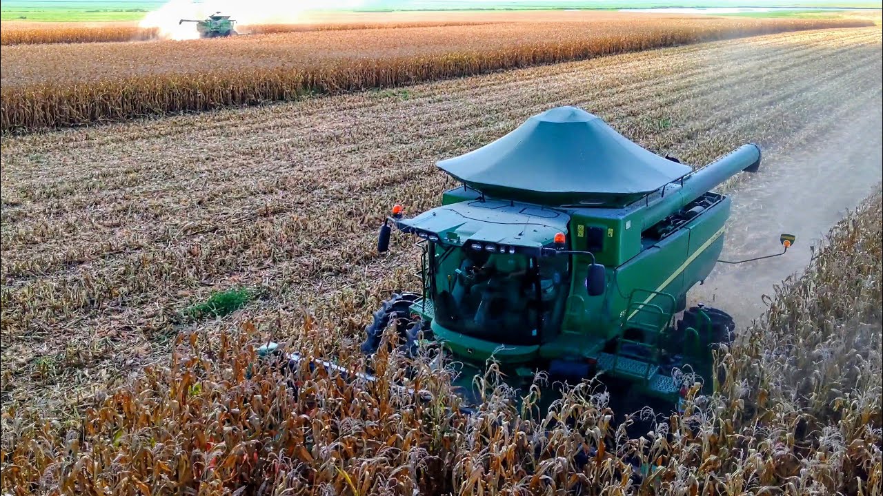 ⚠️INICIAMOS A COLHEITA DE MILHO NA FRONTEIRA DO RIO GRANDE DO SUL ⚠️