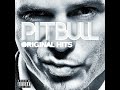 Pitbull - Lemonhead Delight