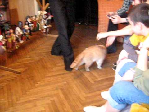 Remembering Igor Fokin:  Doo-Doo