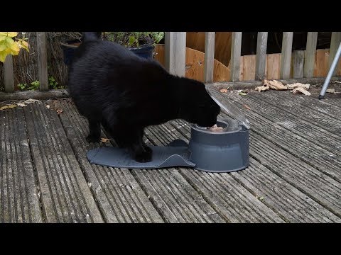 Professor Creates Pet Lunchbox Which Is Loved On Dragon's Den