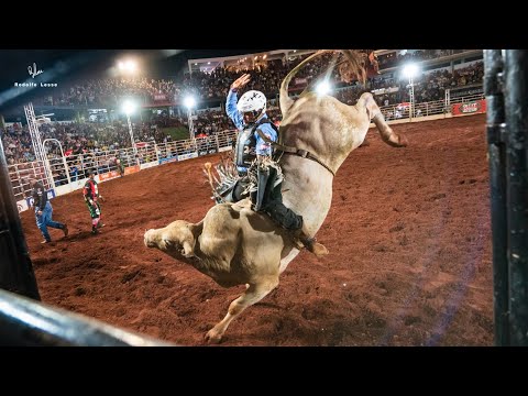 BULL RIDING FINAL - COLORADO RODEO 2025 (Official 4K)