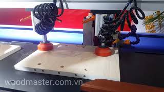 Máy khoan cạnh ván siêu tốc Woodmaster