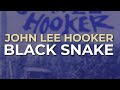 John Lee Hooker - Black Snake (Official Audio)