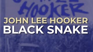 John Lee Hooker - Black Snake (Official Audio)
