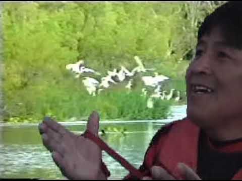 CHICHA   AMADEUS   LUNA LUNITA BOLIVIA 2020