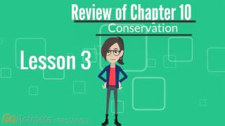 lessi's review of chapter 10
