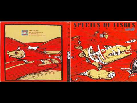 Species Of Fishes - Crash Recovery