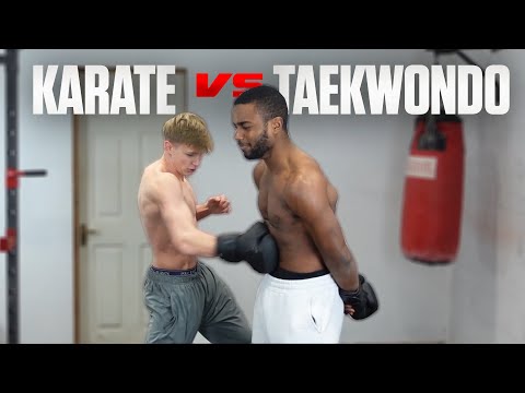 Karate vs Taekwondo CHALLENGE