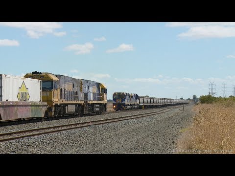 6MP4 TOLL Container Train Crosses QUBE Grain - PoathTV Australian Railways