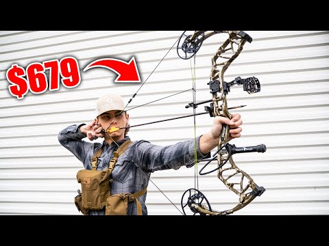 THE BEST BUDGET BOW OF 2025